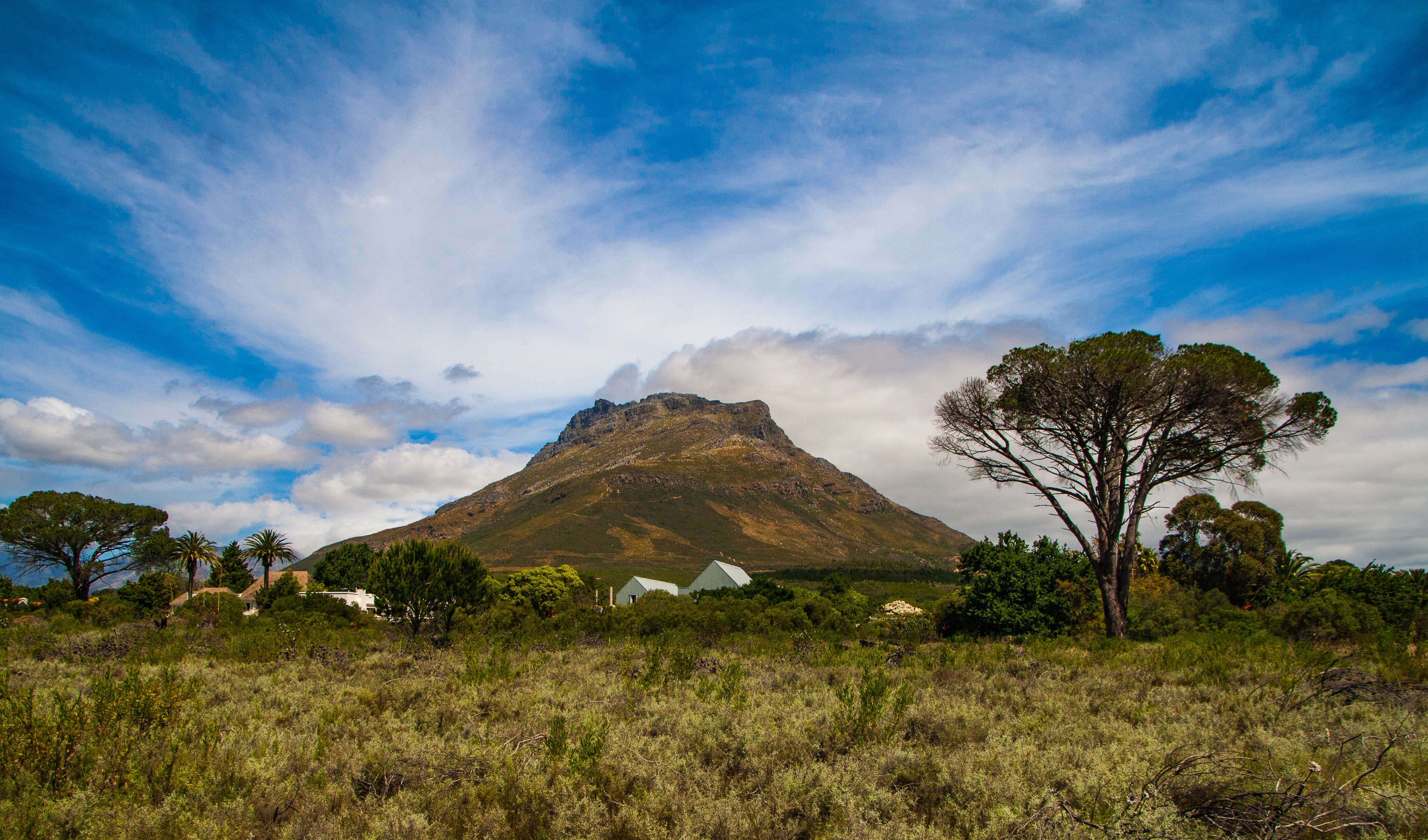Winelands Hotels